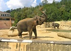 File:Big mammals pavilion2, Zoo Prague.jpg - Wikimedia Commons