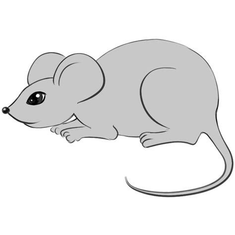 The images above represents how your finished drawing is going to look and the steps involved. How to Draw a Mouse | Easy Drawing Art