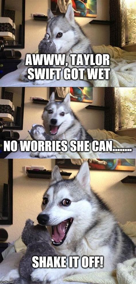 Bad Pun Dog Meme Imgflip