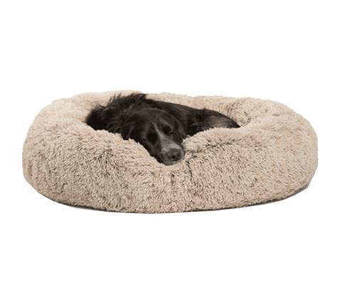 10 Best Dog Beds In 2021 Reviews And Top Picks Pet Keen