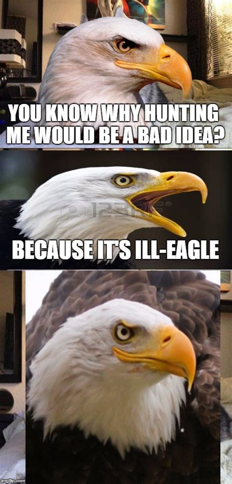 War Eagle Memes