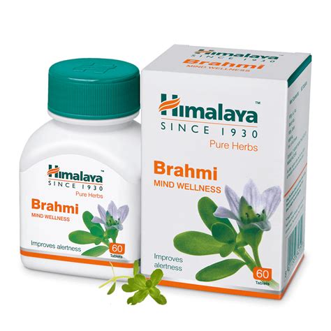 Himalaya Wellness Pure Herbs Brahmi Mind Wellness - 60 ...