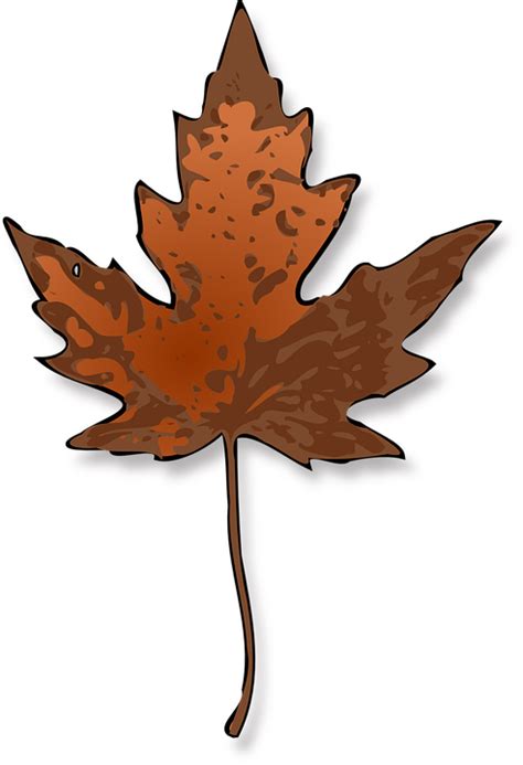 Download Maple Leaf Autumn Royalty Free Vector Graphic Pixabay
