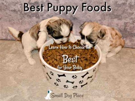 Best Puppy Foods Tips For Choosing The Best
