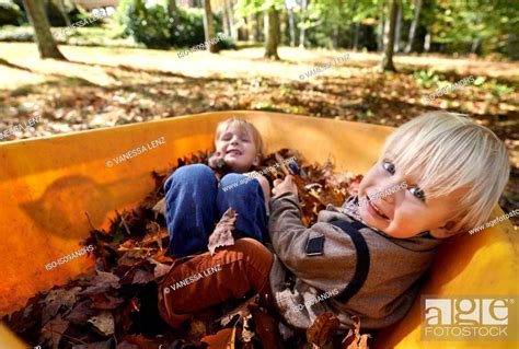 Two Boys Sitting In Wheelbarrow Full Of Leaves Stock Photo Picture