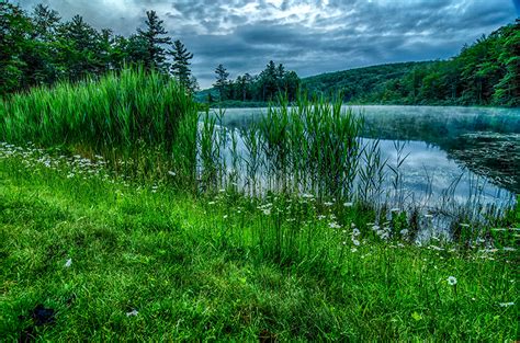 Photo Nature Summer Forests Scenery Grass River