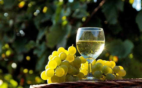 White Wine Wallpapers Top Free White Wine Backgrounds Wallpaperaccess