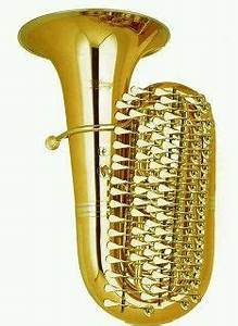 J 39 Elle Stainer Subcontrabass Saxophone Attilio Berni Saxophone Player