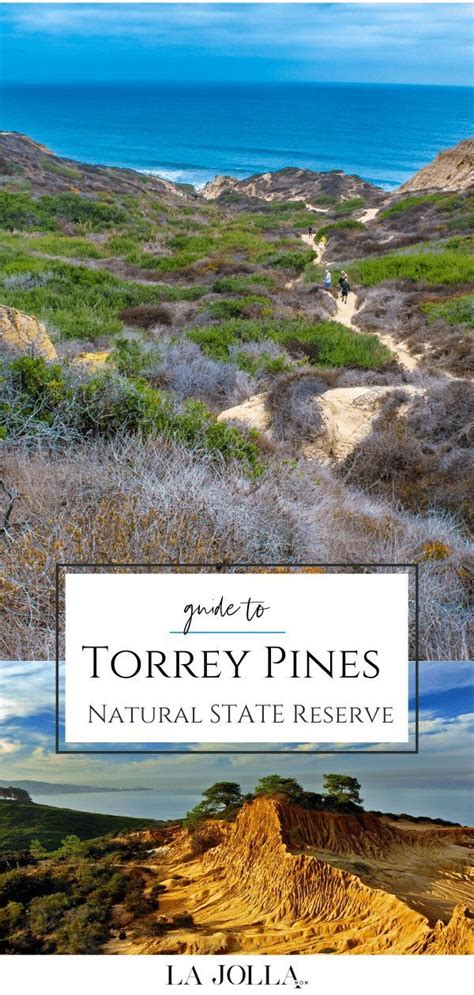 Torrey Pines State Reserve Information Trails Wildlife And Beach