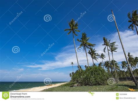 Beautiful Tropical Sea View Under Bright Sunny Day Sandy Beach Boat