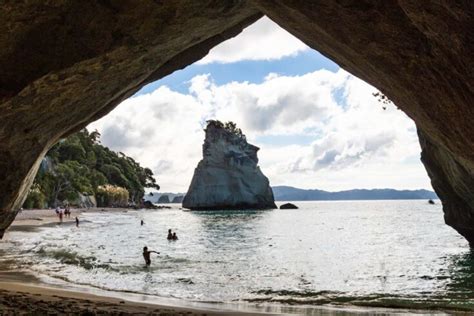 7 Tips For The Cathedral Cove Walk Coromandel New Zealand