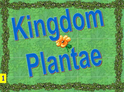 Ppt Kingdom Plantae Powerpoint Presentation Free Download Id123248