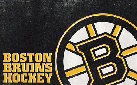 Free Download Download Boston Bruins Wallpaper 1920x1200 Wallpoper