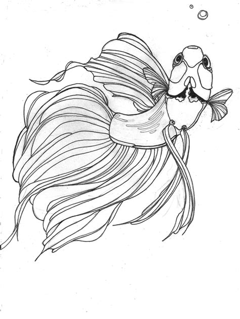 Realistic Betta Fish Coloring Page Coloringbay The Best Porn Website