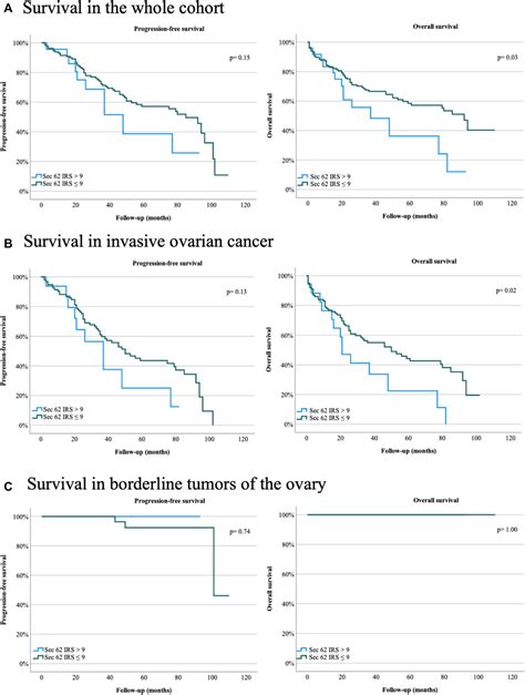 Frontiers Effect Of The 3q26 Coding Oncogene Sec62 As A Potential