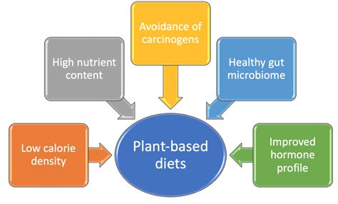 How Does Diet And Lifestyle Drive Chronic Disease Plant Based Health