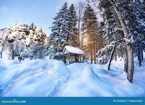 Winter Mountain Scenery Stock Image Image 37084651