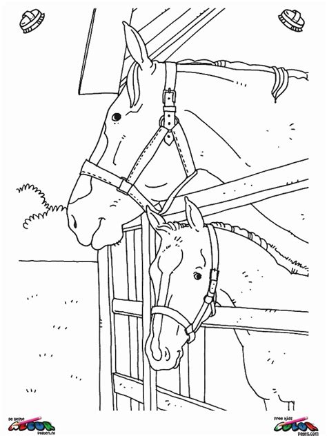 Real Horse Coloring Pages Coloring Home