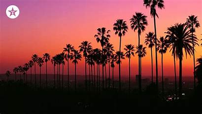 Zoom Hollywood Background Sunset Backgrounds