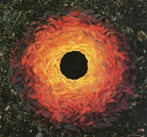 Oak Leaves And Holes Andy Goldsworthy Sculpture 1987 Imagesofthe1980s