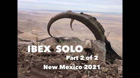 Ibex Solo Hunt Part 2 Of 2 New Mexico Youtube