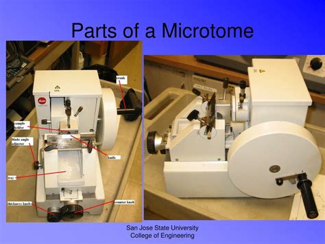 Ppt Microtome S Powerpoint Presentation Free Download Id1351432