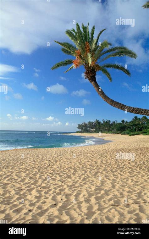 Tropical Beach Photographed At Sunset Beach Park Oahu Hawaii Usa