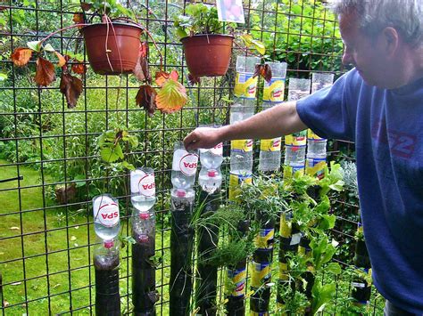 19 Soda Bottle Herb Garden Ideas You Cannot Miss Sharonsable
