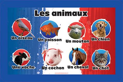 French Language Animals Spaceright Europe Ltd