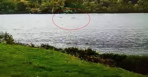 Five Recent Loch Ness Monster Sightings Years After First Photo Taken Daily Record