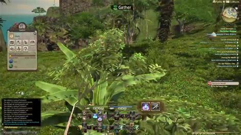 Ffxiv Island Sanctuary Parsnip Seeds And Popoto Seeds Location Youtube