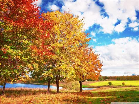 Autumn Sky Wallpapers Top Free Autumn Sky Backgrounds Wallpaperaccess
