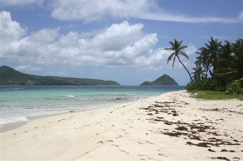 Sandy Island Beach Grenada Grenada Beaches Island Beach Beautiful Islands