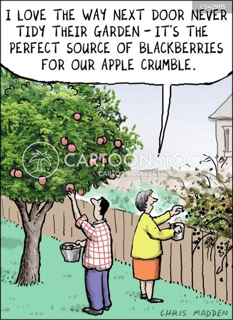 Cartoon Blackberries