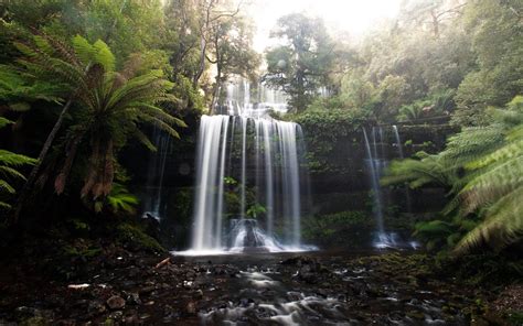 26 Incredible Waterfalls In Tasmania The Tasmania Waterfall List We