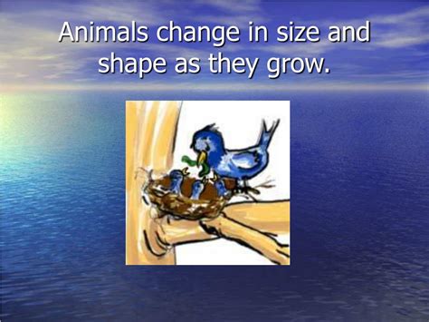 Ppt How Do Animals Change As They Grow Powerpoint Presentation Free