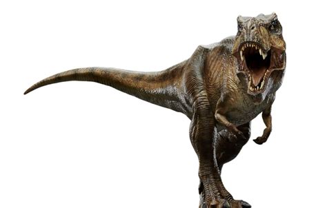 Rexy Jurassic Park Png By Jakeysamra On Deviantart