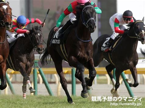雑談掲示板 † wikiの規約上、r18ngです(詳細)。 節度を守ったご利用をお願い致します。 質問をしたい場合は質問掲示板のコメントへ書き込みましょう。 マイネルファンロン - 競走馬データTOP｜12月20日ディセンバーS (L ...