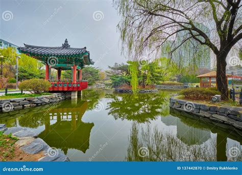 Yeouido Park In Seoul In Summer South Korea Royalty Free Stock Image