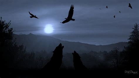 Wolf Howling At The Moon Wallpaper 66 Images