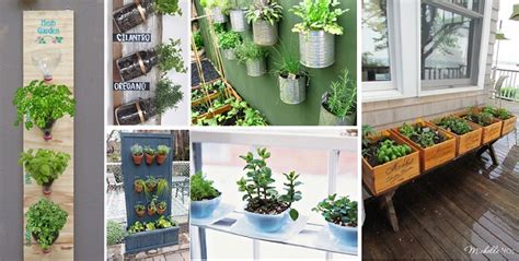 20 Great Herb Garden Ideas Home Design Garden