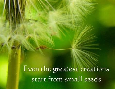 Seed Quotes Quotesgram Seed Quotes Seeds Garden Quotes