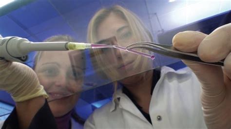 Artificial Blood Vessels Made On A 3d Printer Impact Lab