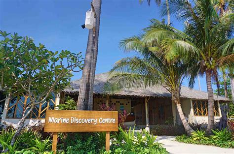 Sí, hay un gimnasio disponible para los huéspedes de phi phi island village beach resort. Phi Phi Island Village Beach Resort - Your Dose Of ...