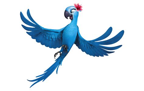 Rio Bird Png Image Png All