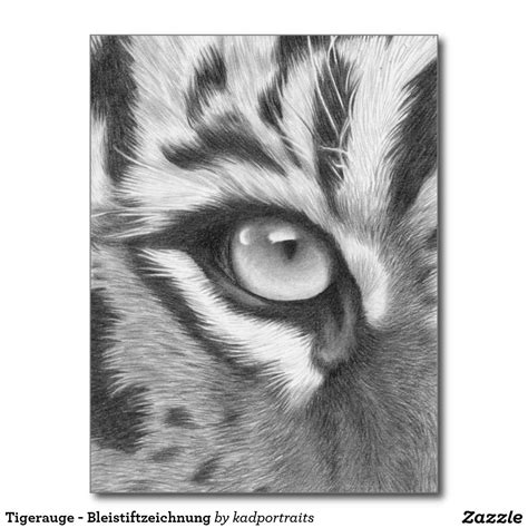 How To Draw Tiger Eyes Step By Step Peepsburghcom