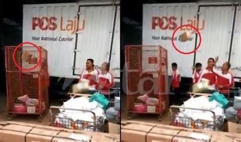Pos malaysia usj 9 47610 puchong coordinate: Pos Malaysia to investigate Pos Laju staff caught tossing ...