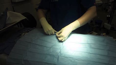 How To Drape A Cat For Spay Surgery Youtube