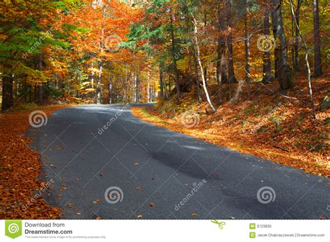 Autumn Road Stock Photo Image Of Empty Colorful Green 6723830