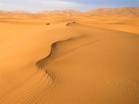 Wallpaper Dunes Desert Hills Sand Field Traces Plants